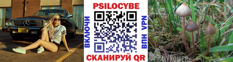Псилоцибиновые грибы Psilocybine cubensis Сафоново
