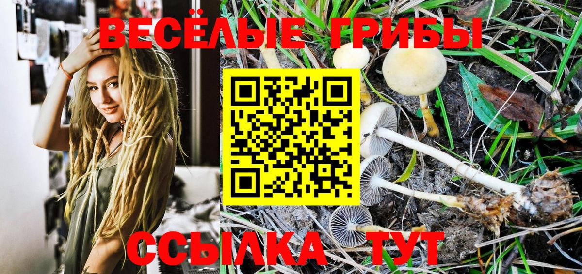 купить наркотики цена  Псилоцибиновые грибы Psilocybine cubensis  Псилоцибиновые грибы GOLDEN TEACHER  Вход с VPN  Сафоново 