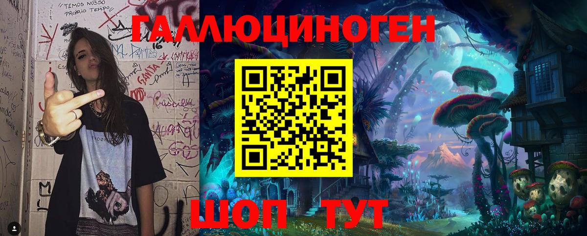Псилоцибиновые грибы Psilocybe Сафоново